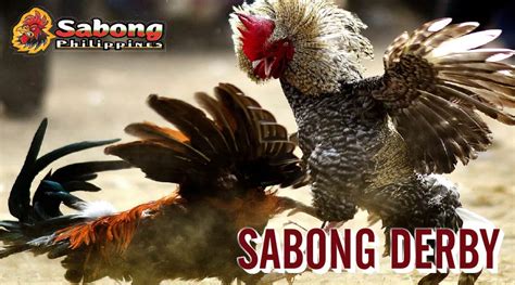 derby sabong meaning